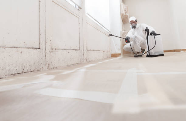 24/7 Emergency Mold Testing experts in White Hall, IL